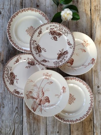 Table Sépia - Les 6 assiettes plates dépareillées