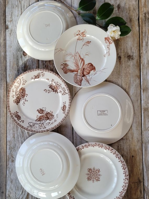 Sépia - Les 6 assiettes plates