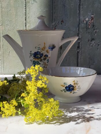 Volubilis - Le petit-déjeuner