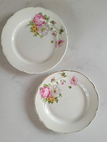 Assiettes Anémones -  Digoin et Sarreguemines