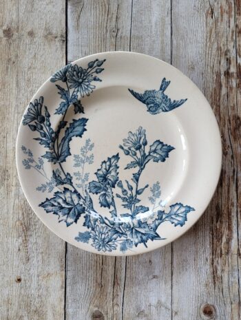 Botanique - L'assiette plate Longwy