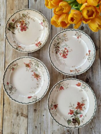 Les grimpantes - Set de 4 assiettes Emile Bourgeois