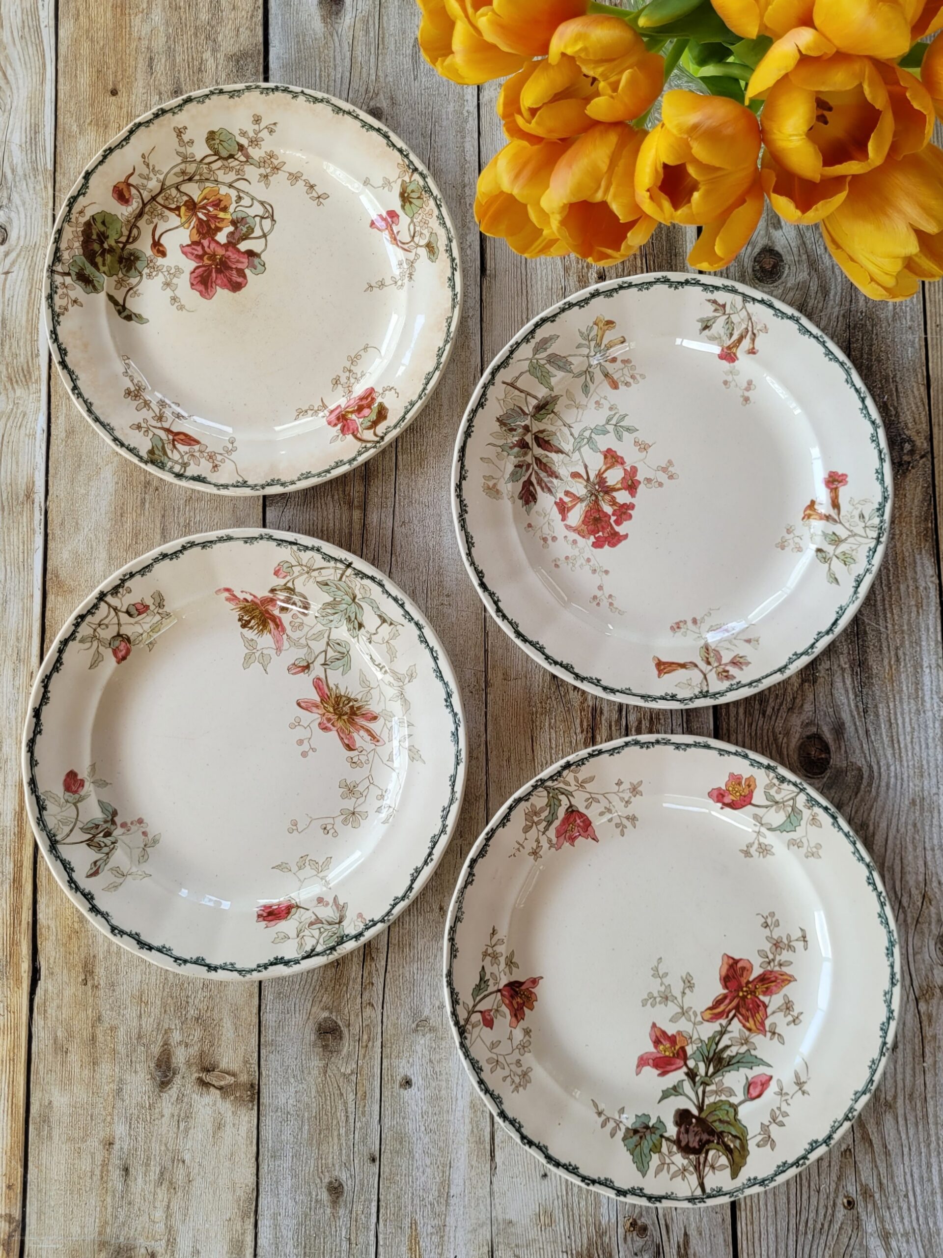 Les grimpantes - Set de 4 assiettes Emile Bourgeois