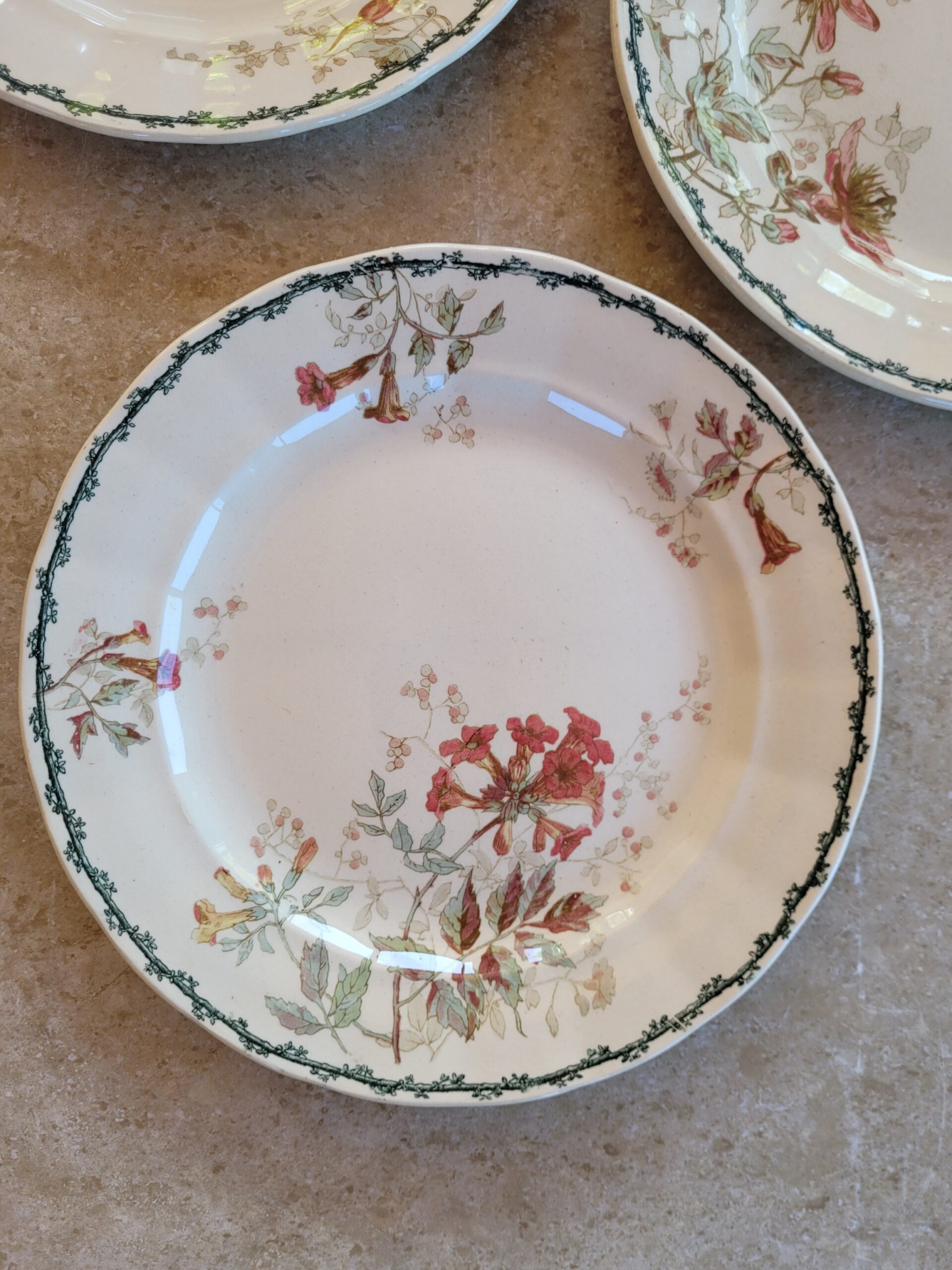 Les grimpantes - Set de 4 assiettes Emile Bourgeois