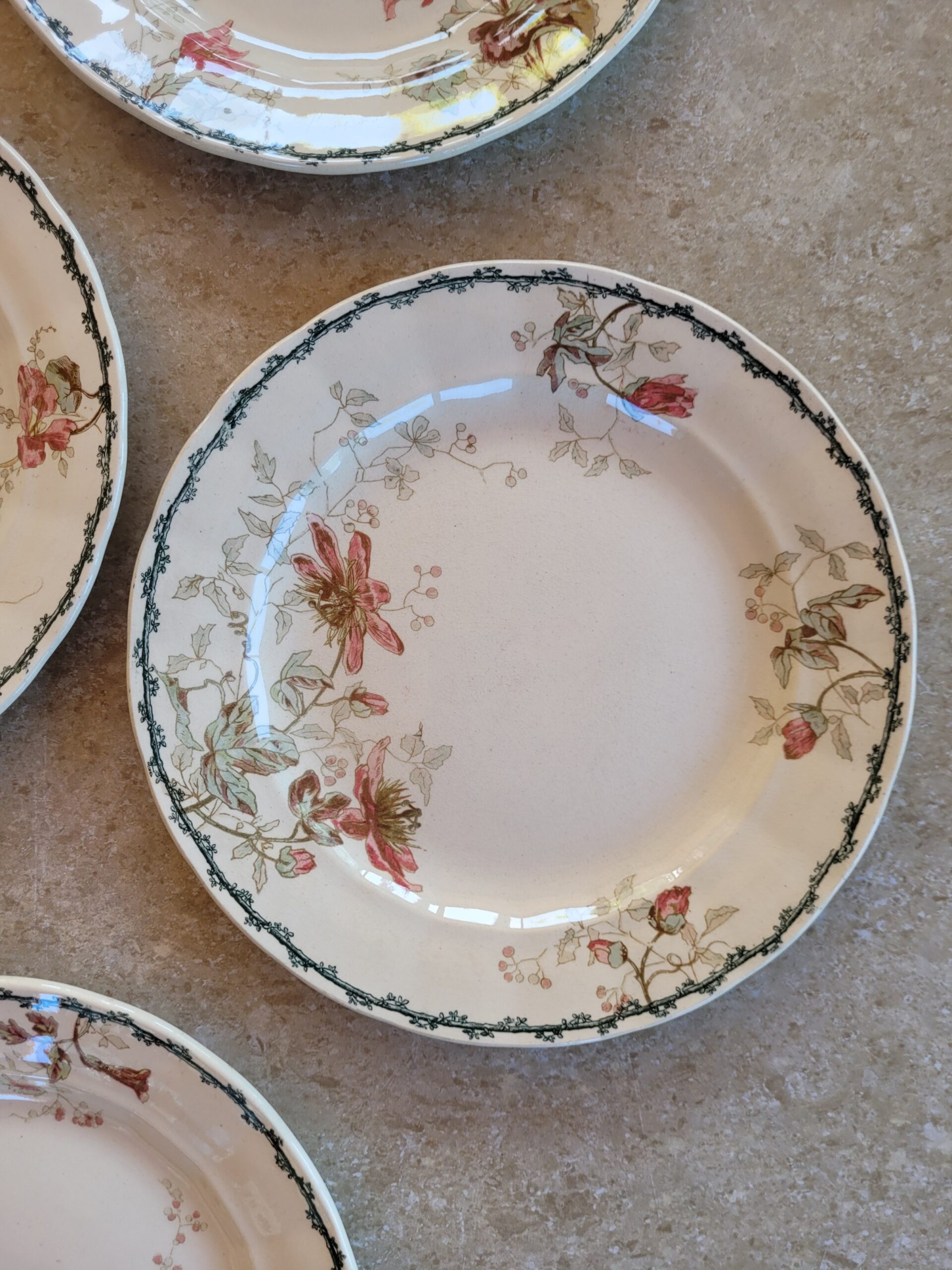 Les grimpantes - Set de 4 assiettes Emile Bourgeois